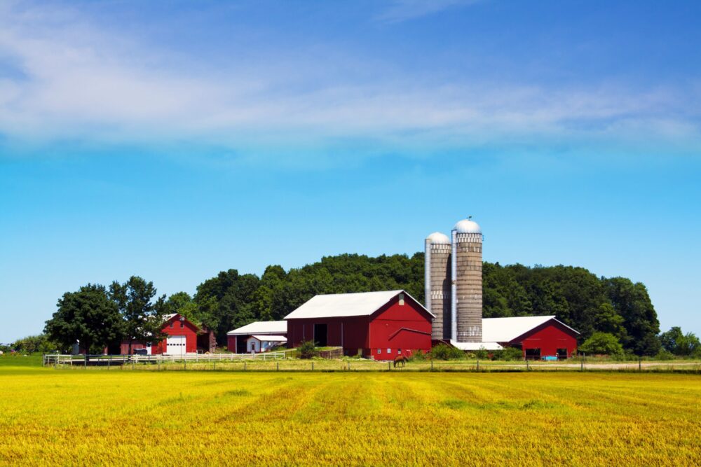 Traditional American red farm with yellow grass and clear sky
