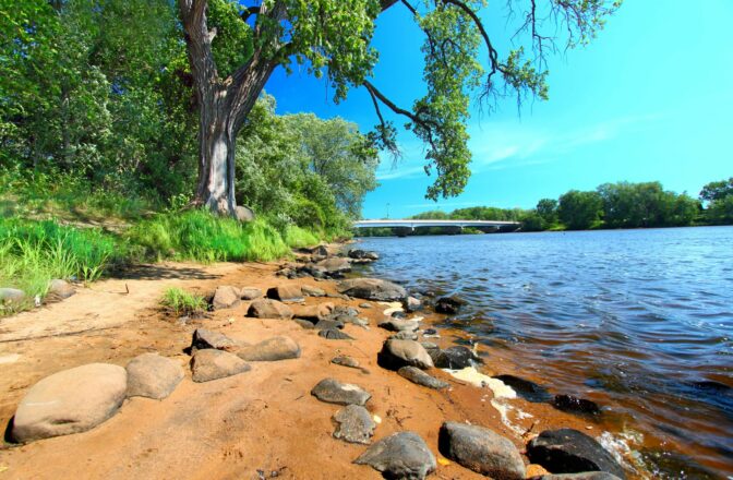 sandy river shore with rocks and large tree, bridge in distance