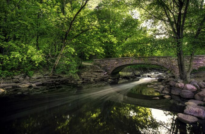stone foot bridge over stream under tree canopy