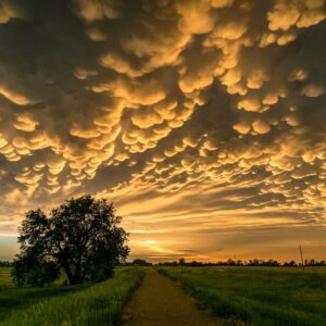 gravel road through countryside at sunset