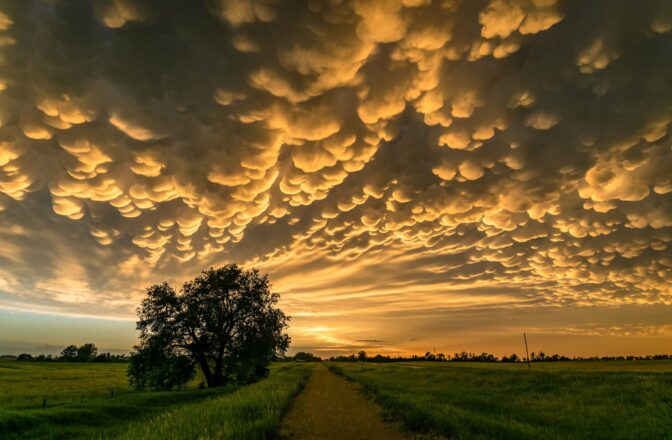 gravel road through countryside at sunset