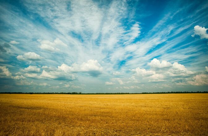 open sky with harvested field