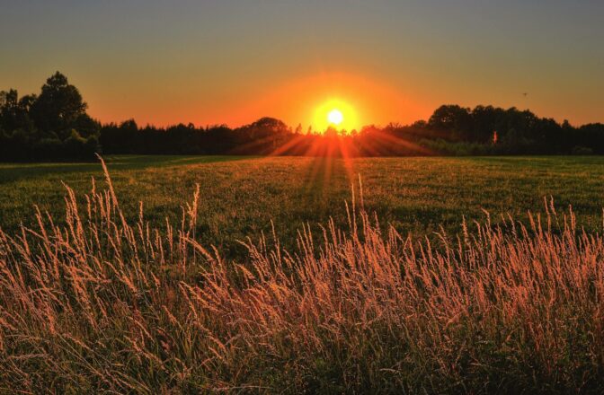 open field at sunset