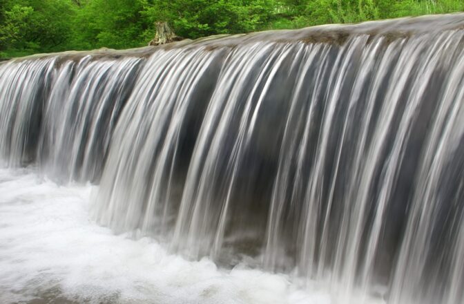 Des Plaines Conservation Area in Illinois