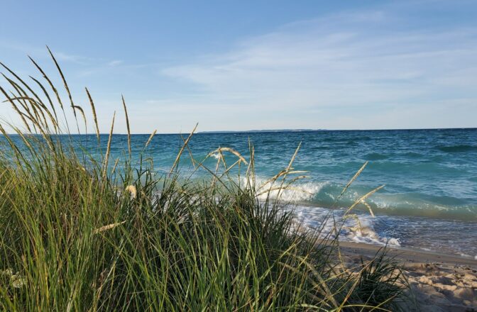 Coast of Michigan beach with green foxtails