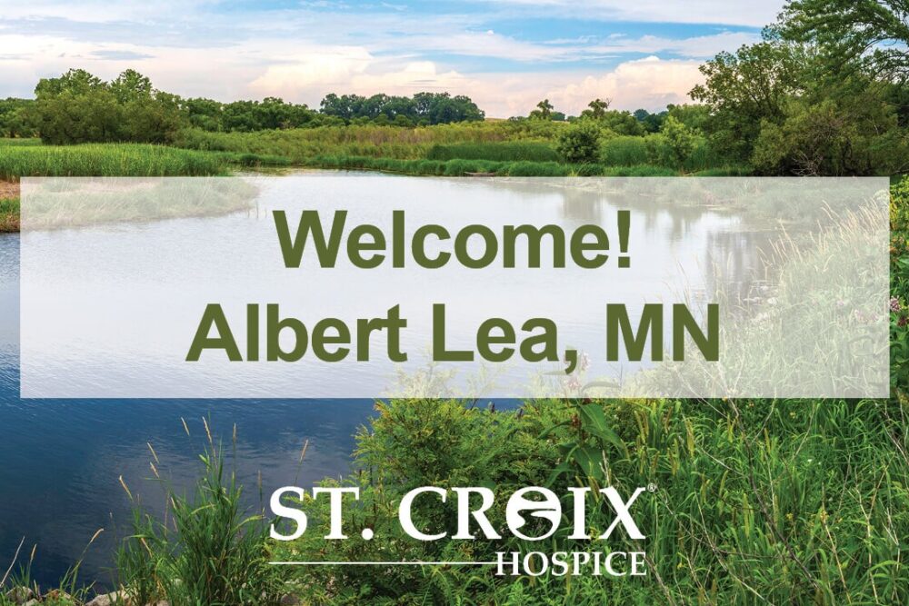 Albert Lea Lake fork with green trees and shrubberies